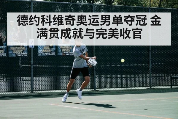 德约科维奇奥运男单夺冠 金满贯成就与完美收官