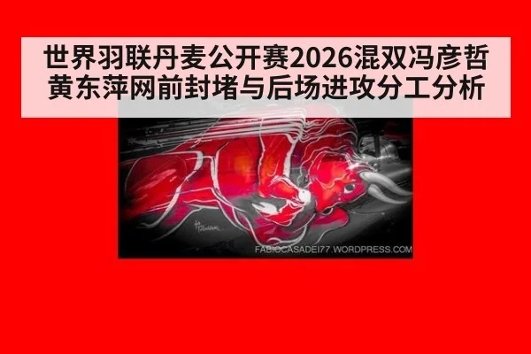 世界羽联丹麦公开赛2026混双冯彦哲黄东萍网前封堵与后场进攻分工分析